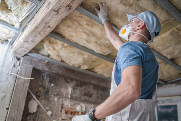 Best Spray Foam Insulation  in St Michaels, MD