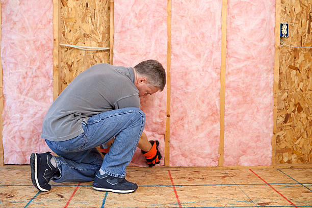 Best Insulation Contractor Near Me  in St Michaels, MD
