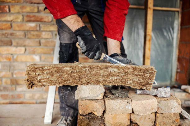 Best Insulation Replacement Services  in St Michaels, MD