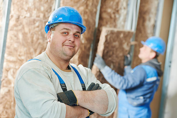 Best Insulation Repair Services  in St Michaels, MD