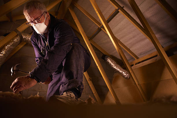 Best Spray Foam Insulation  in St Michaels, MD